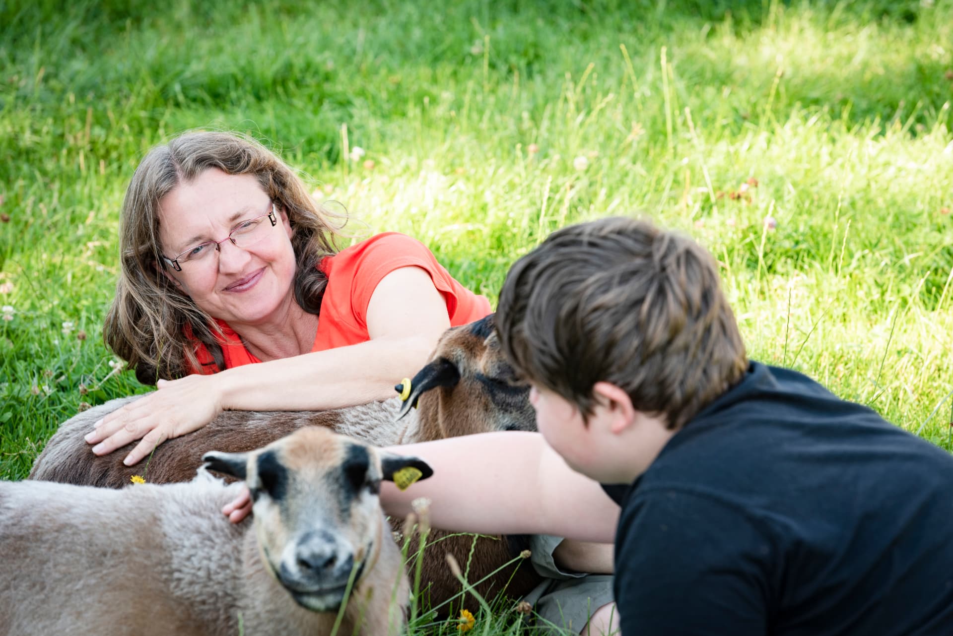 Frau und Kind im Nahkontakt mit Schafen auf der Wiese